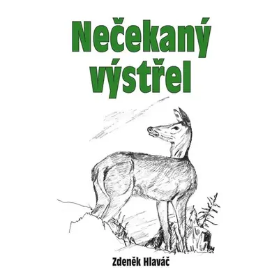 Nečekaný výstřel - Hlaváč Zdeněk