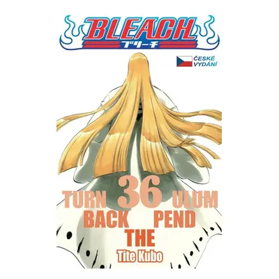 Bleach 36: Turn Back The Pendulum - Kubo Tite