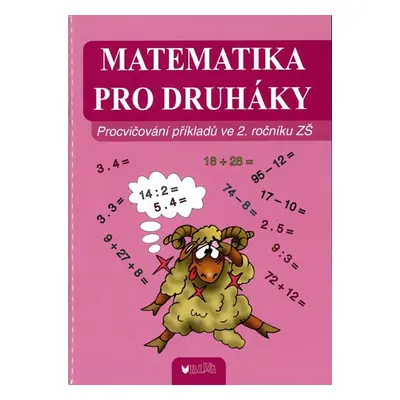 Matematika pro druháky - kolektiv autorů