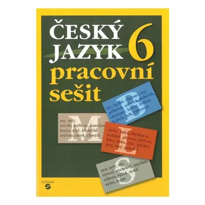 Český jazyk 6. r. - pracovní sešit - Rozmarynová,Šneiderová