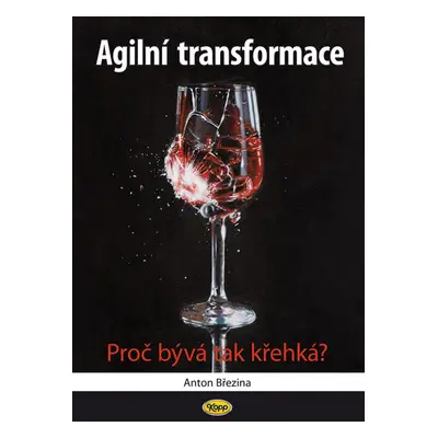 Agilní transformace - Proč bývá tak křehká? - Březina Anton