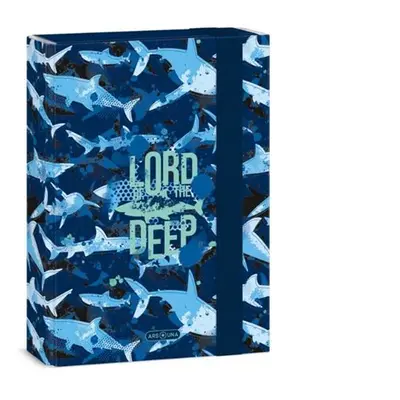 Desky na sešity A5 Ars Una - Lord of the Deep