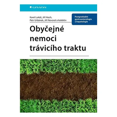 Obyčejné nemoci trávicího traktu - Hoch Jiří, Lukáš Karel