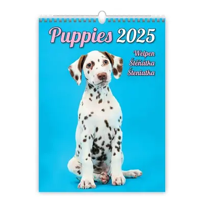 Kalendář nástěnný 2025 - Puppies/Welpen/Štěňátka/Šteniatka