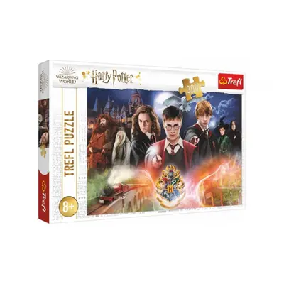 Puzzle Tajemství Harry Potter 300 dílů