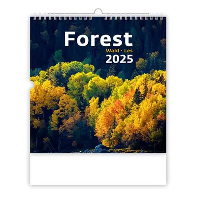 Kalendář nástěnný 2025 - Forest/Wald/Les