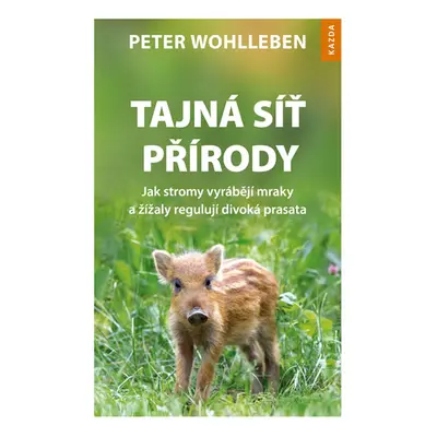 Tajná síť přírody - Jak stromy vyrábějí mraky a žížaly regulují divoká prasata - Wohlleben Peter