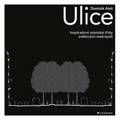 Ulice - Inspirativní městské třídy světových metropolí - Aleš Dominik