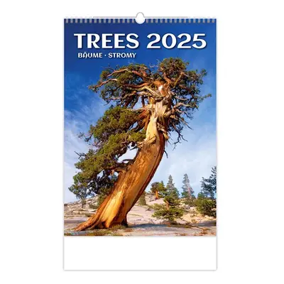 Kalendář nástěnný 2025 - Trees/Bäume/Stromy