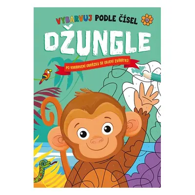 Džungle / Vybarvuj podle čísel - Hannah Campling