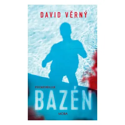 Bazén - Věrný David