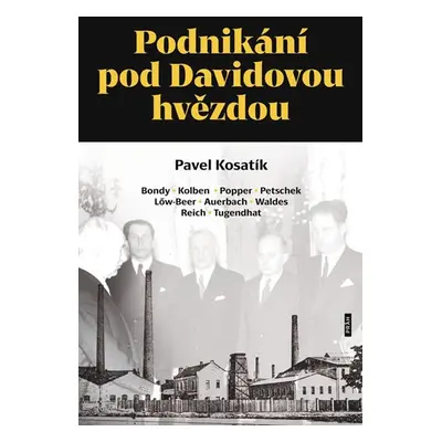 Podnikání pod Davidovou hvězdou - Kosatík Pavel