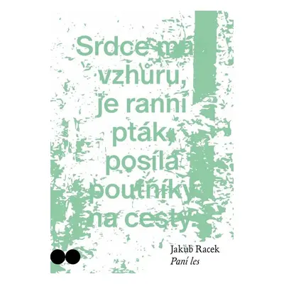 Paní les - Racek Jakub