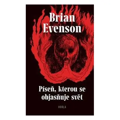 Píseň, kterou se objasňuje svět - Evenson Brian