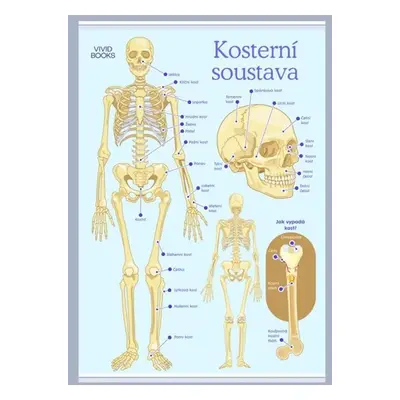 Kosterní soustava 1000 × 1400 mm