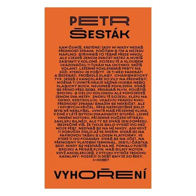 Vyhoření - Šesták Petr