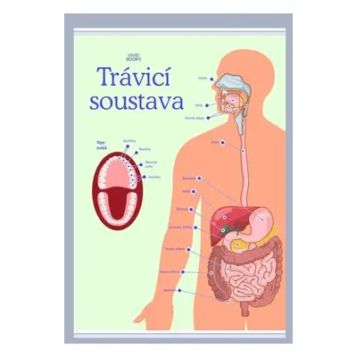 Trávicí soustava 1000 × 1400 mm - výukový plakát