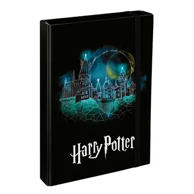 BAAGL Desky na školní sešity A4 Jumbo - Harry Potter