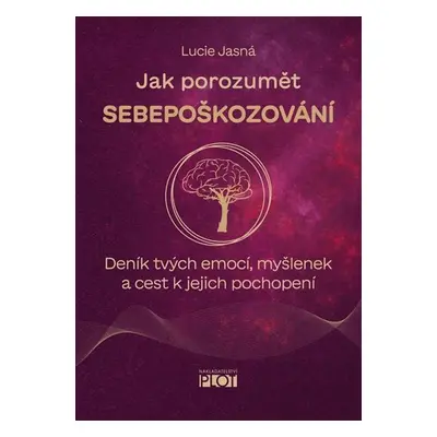 Jak porozumět sebepoškozování - Deník tvých emocí, myšlenek a cest k jejich pochopení - Jasná Lu