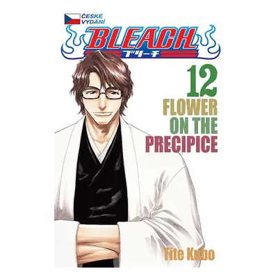 Bleach 12: Flower on the Precipice - Kubo Tite