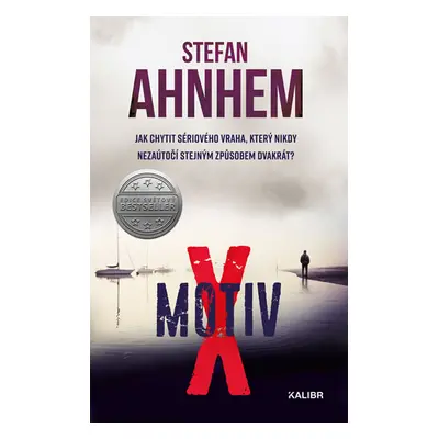 Motiv X - Ahnhem Stefan