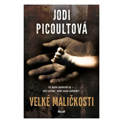 Velké maličkosti - Picoultová Jodi