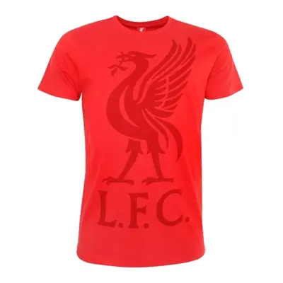 FC Liverpool pánské tričko Liverbird red