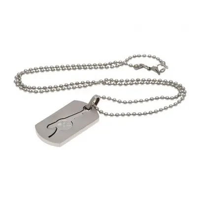 FC Arsenal řetízek na krk se psí známkou Dog Tag & Chain CO GN