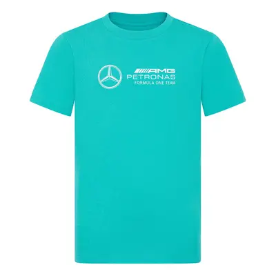 Mercedes AMG Petronas dětské tričko Large Logo green F1 Team 2024