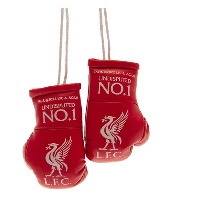 FC Liverpool mini boxerské rukavice Mini Boxing Gloves RD