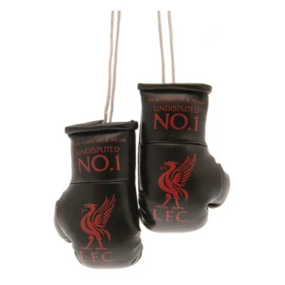 FC Liverpool mini boxerské rukavice Mini Boxing Gloves BK