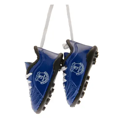 FC Everton mini boty do auta Mini Football Boots