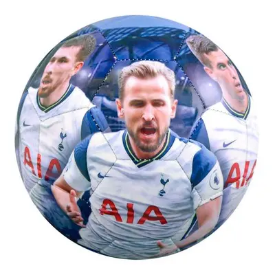 Tottenham Hotspur fotbalový míč players photo football