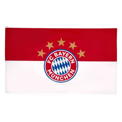 Bayern Mnichov vlajka 250x150 Logo