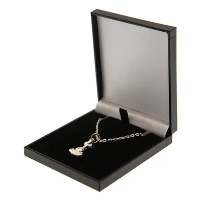 Tottenham Hotspur přívěšek na krk Silver Plated Boxed Pendant