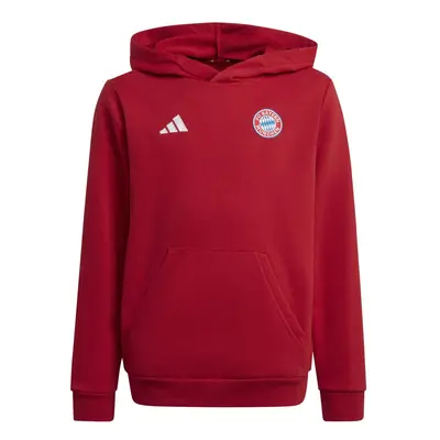 Bayern Mnichov dětská mikina s kapucí Hoody red