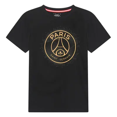 Paris Saint Germain pánské tričko Stripe Logo black (nedostupné)