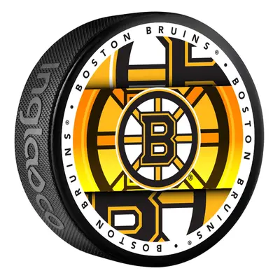 Boston Bruins puk Medallion Souvenir Collector Hockey Puck