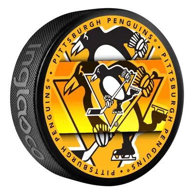 Pittsburgh Penguins puk Medallion Souvenir Collector