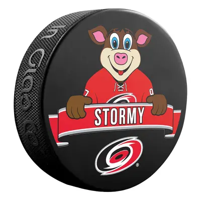 Carolina Hurricanes puk NHL Mascot