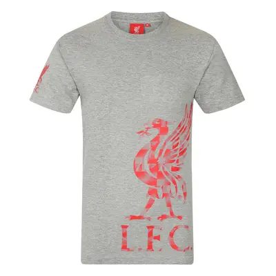 FC Liverpool pánské tričko Graphic grey