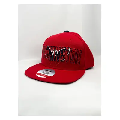 Washington Capitals dětská čepice flat kšiltovka Life Style Graphic Snapback