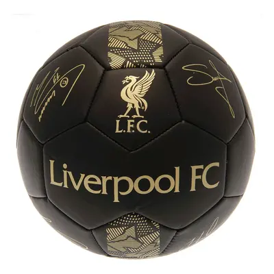 FC Liverpool fotbalový mini míč Skill Ball Signature Gold PH size 1