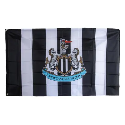 Newcastle United vlajka Striped