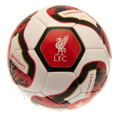 FC Liverpool fotbalový míč Football TR - Size 5