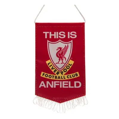 FC Liverpool vlaječka Mini Pennant TIA white