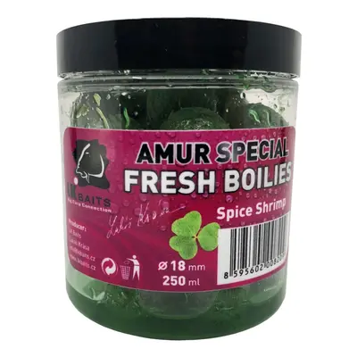 LK Baits Fresh Boilie Amur Special Spice Shrimp 18mm 250ml