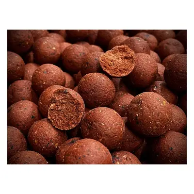 LK Baits Boilies Sea Food/Spice Shrimp,1kg, 20mm