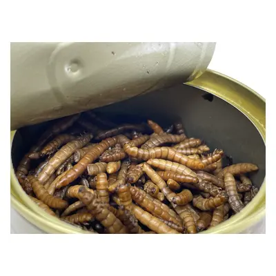 LK Baits Natur Canned Mealworms 35g