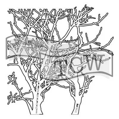 The Crafter´s Workshop Šablona TCW - Branches - VYBERTE VELIKOST - Šablona TCW 6"x6" (15,2x15,2 